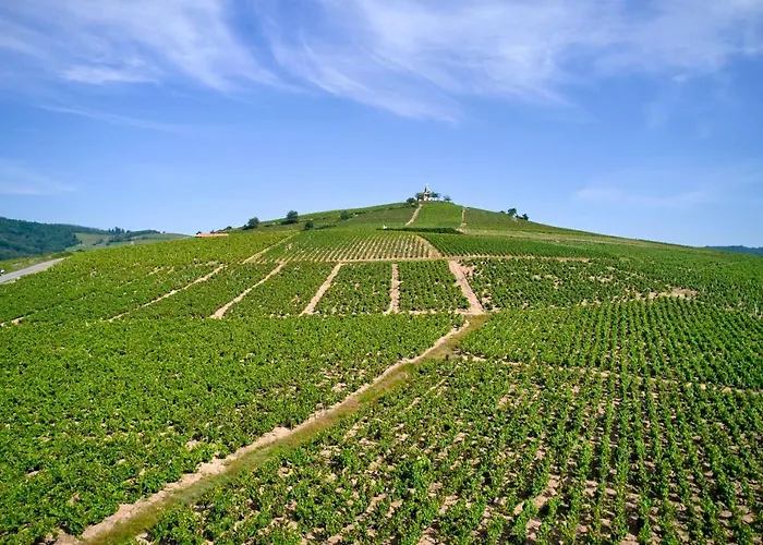 Les Glycines - Domaine Gilles Coperet