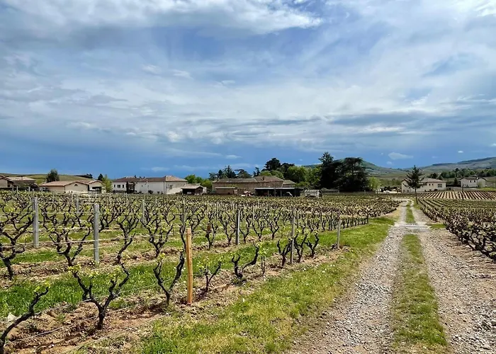 Les Glycines - Domaine Gilles Coperet